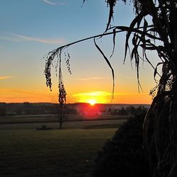 Sunset over landscape