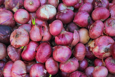 Full frame shot of onions for sale at market stall