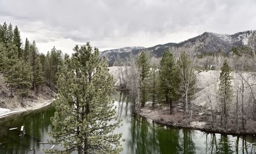 Panoramic view of lake and trees against sky