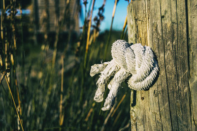 Natural jute rope wound on a pole