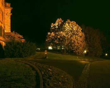 Illuminated street by trees and buildings against sky at night