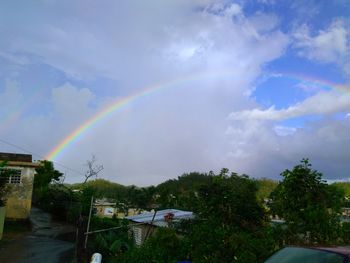 Rainbow over houses against sky