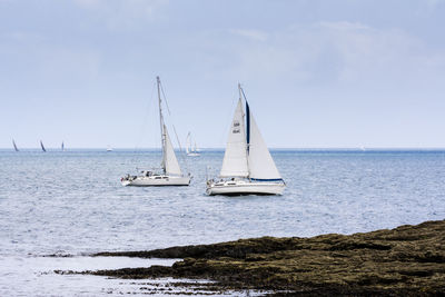 Sailboats sailing on sea