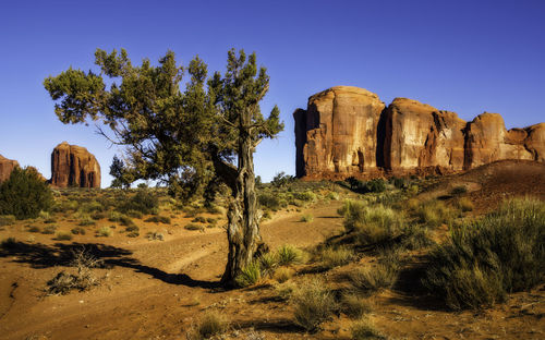 View of rock formations