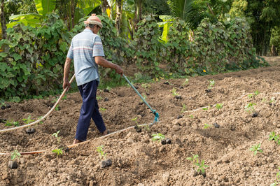 Man working in farm