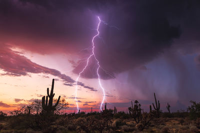 Sunset lightning storm in the arizona desert.