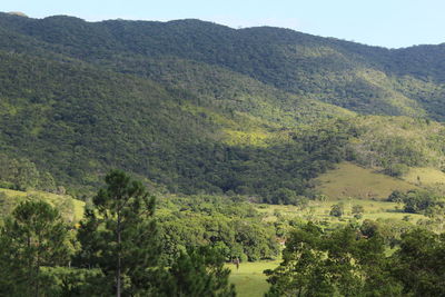 Scenic view of landscape