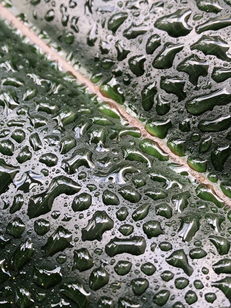 FULL FRAME SHOT OF RAINDROPS ON WET FLOOR