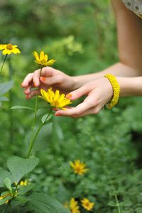 Cropped image of woman plucking yellow flowers