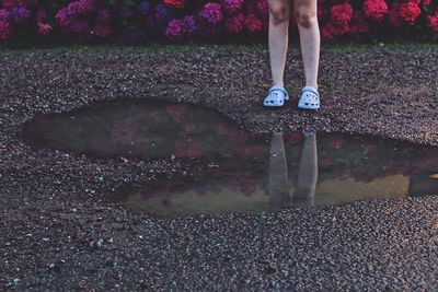 Low section of woman standing by puddle during rainy season