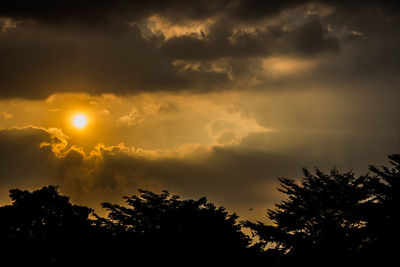 Low angle view of silhouette trees against sky during sunset