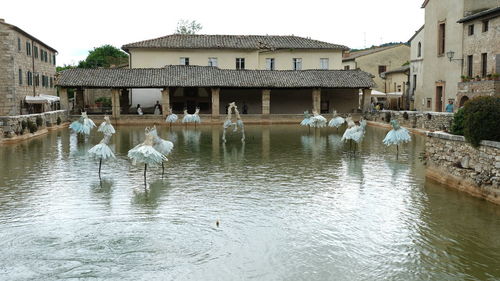 Flock of birds by lake against buildings