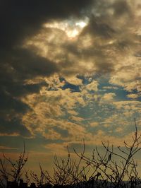 Low angle view of silhouette tree against dramatic sky