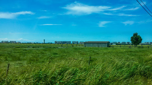 Scenic view of field against blue sky