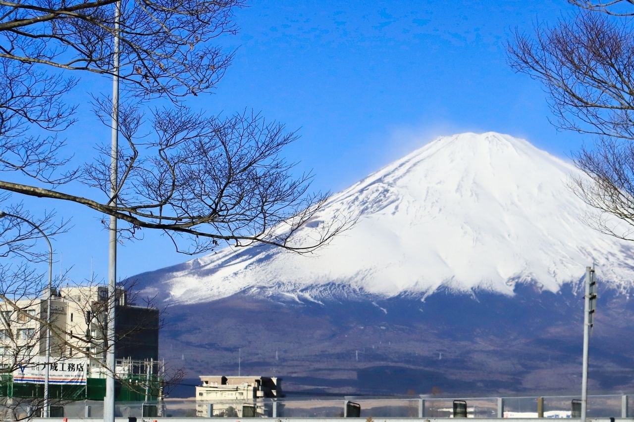 Katsuko