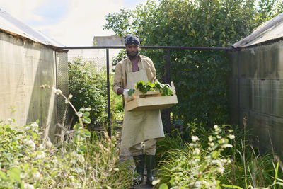 Gardener carrying crate of plants in garden