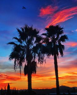 Low angle view of silhouette palm trees against sky at sunset