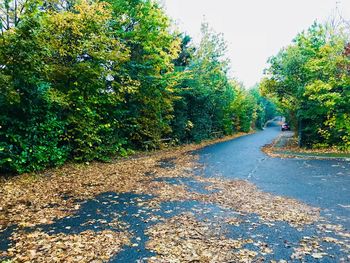 Road amidst trees against sky