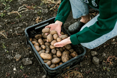 Low section of man picking food