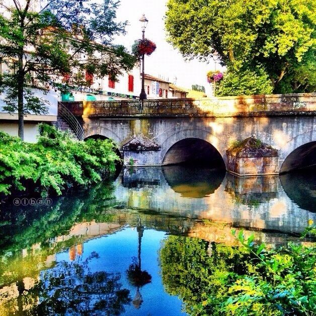 tree, water, architecture, reflection, built structure, connection, river, waterfront, bridge - man made structure, sky, building exterior, standing water, arch bridge, bridge, canal, growth, lake, nature, tranquility, arch