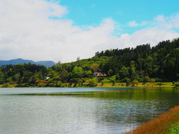 Scenic view of lake by trees against sky