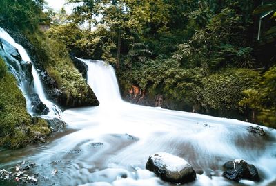 View of waterfall in forest