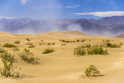 Scenic view of desert against sky