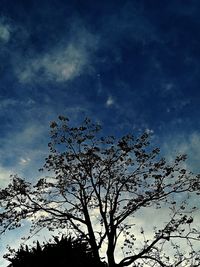 Low angle view of silhouette tree against sky