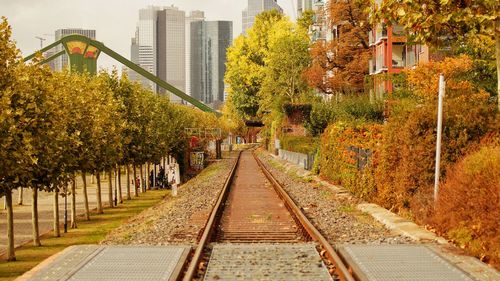 Railroad tracks amidst trees and buildings in city