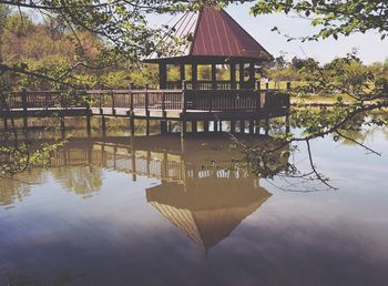 Reflection of trees in water