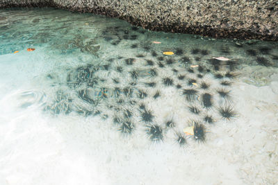 High angle view of water