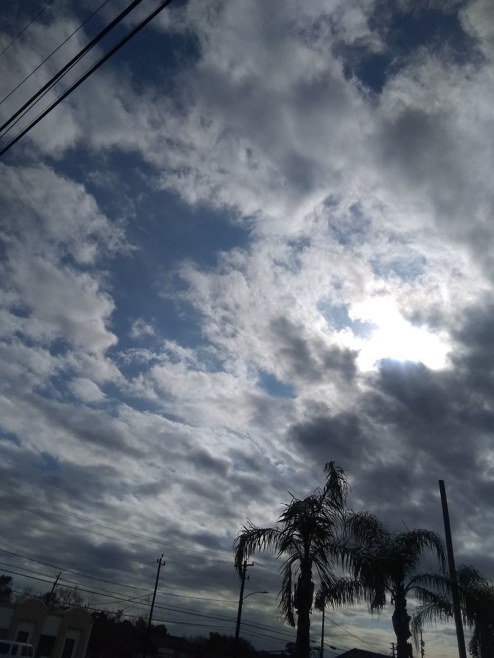 LOW ANGLE VIEW OF PALM TREES AGAINST CLOUDY SKY