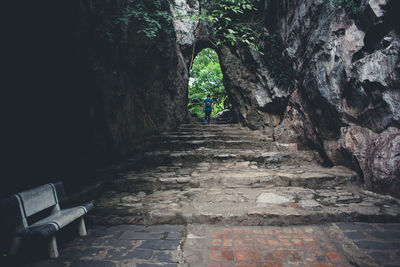 Trees in corridor