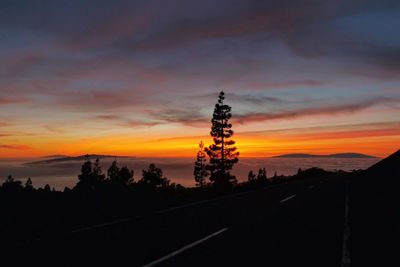 Silhouette trees by road against orange sky