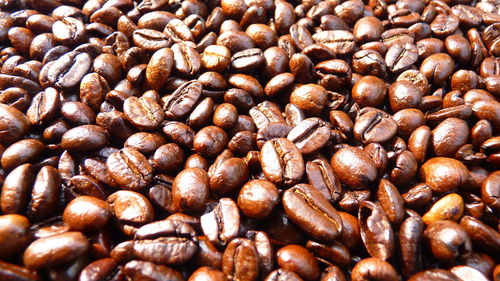 Full frame shot of coffee beans