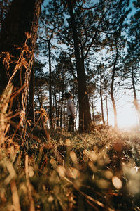 Rear view of man standing in forest