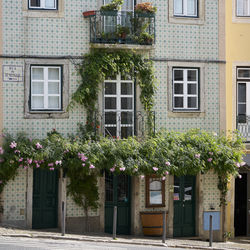 architecture