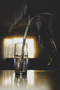 Close-up of wineglass on table