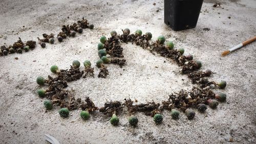 High angle view of text on sand
