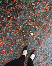 Low section of person standing on autumn leaves