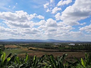 Scenic view of agricultural field against sky