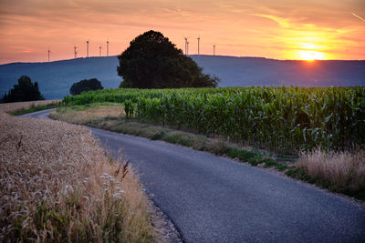 Road amidst field against sky during sunset