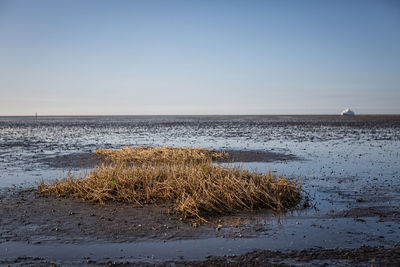 Scenic view of sea against clear sky