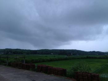 Scenic view of agricultural field against sky