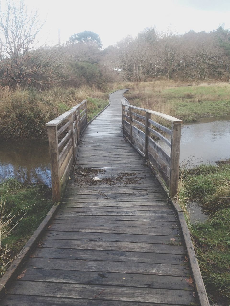 the way forward, built structure, architecture, tree, diminishing perspective, wood - material, railing, house, building exterior, nature, no people, tranquility, water, vanishing point, day, outdoors, empty, sky, long, narrow