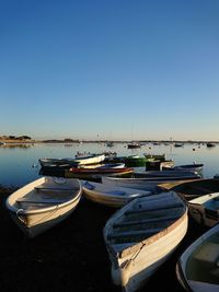 Sailboats moored at harbor