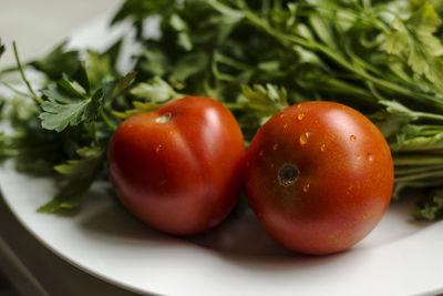 Close-up of tomatoes on table