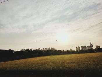 Scenic view of field against sky during sunset