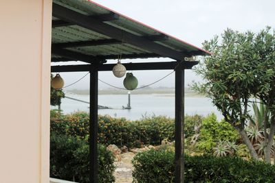 Low angle view of light bulbs hanging from tree