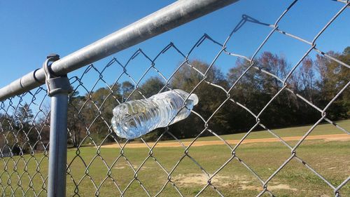 Water bottle stuck in chainlink fence at park